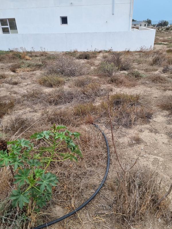 3 Bedroom Property for Sale in St Helena Views Western Cape